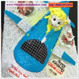 Bánh Sinh Nhật Máy Bay - MA30